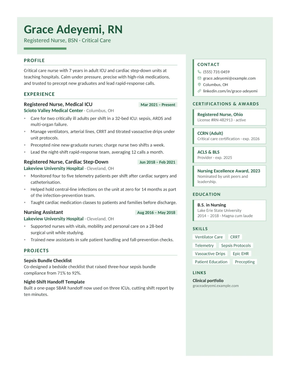 Pulse resume template filled in with a sample resume